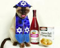 חתול יהודי