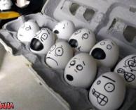 ביצים מפוחדות