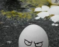 קרב ביצים	