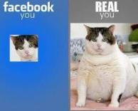 ההבדל בין תמונת הפרופיל שלך בפייסבוק למציאות...