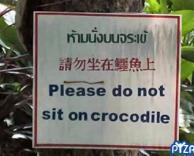 נא לא לשבת על הקרוקודיל!
