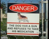 כלב מסוכן