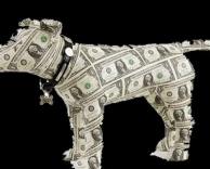 כלב משטרות כסף
