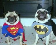 סופרמן ובאטמן-כלבים