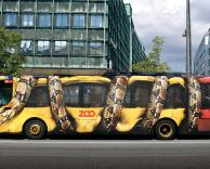 פרסומת אוטובוס