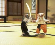 החתולים הסמוראים