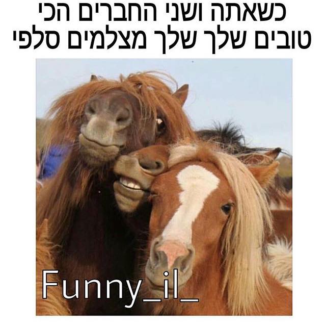 יצא טוב