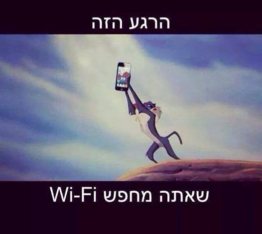 קליטה
