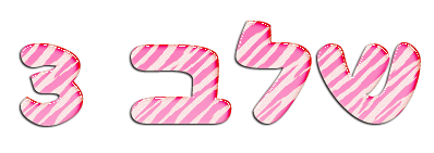 בניית אתרים בחינם