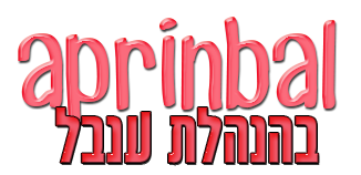 בניית אתרים בחינם