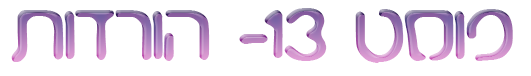 בניית אתרים בחינם