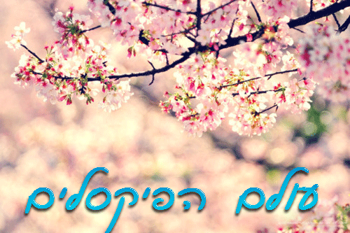 2e4bda0fe5da8bc483bafd9a240fb212580d20e4