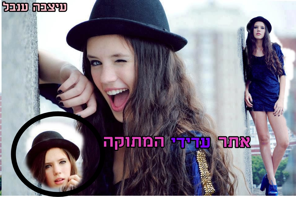 בניית אתרים בחינם