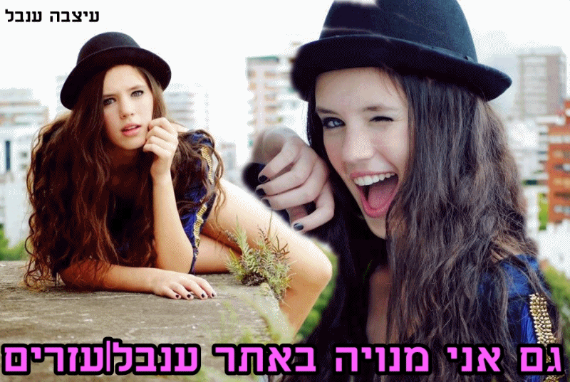 בניית אתרים בחינם