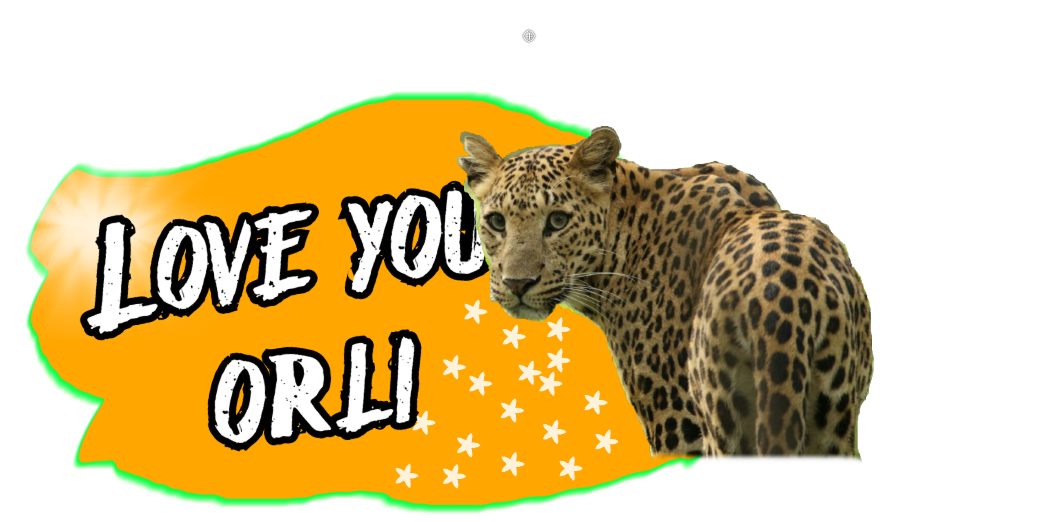 בניית אתרים בחינם