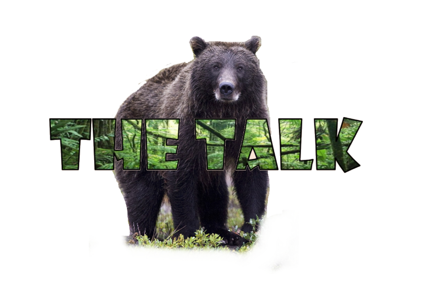 בניית אתרים בחינם