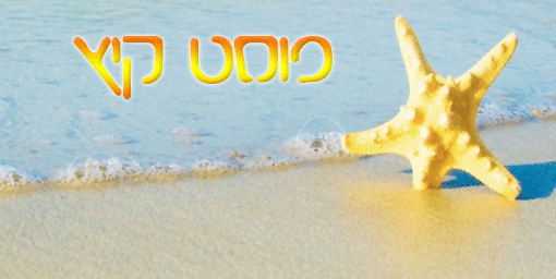 בניית אתרים בחינם