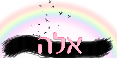 בניית אתרים בחינם