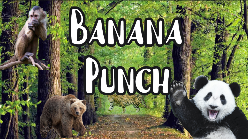 בניית אתרים בחינם