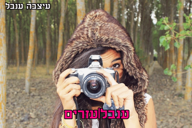 בניית אתרים בחינם