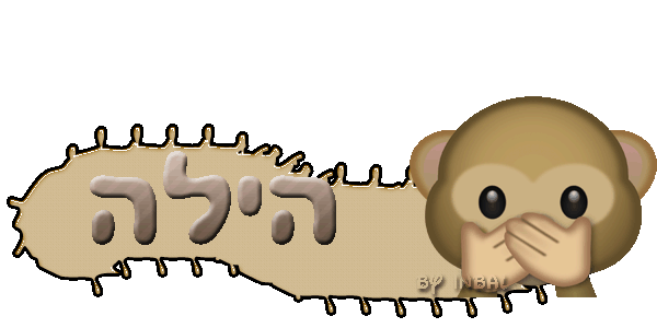 בניית אתרים בחינם