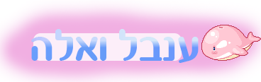 בניית אתרים בחינם