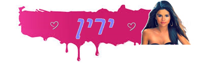 בניית אתרים בחינם