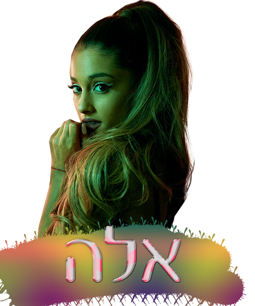 בניית אתרים בחינם