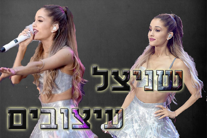 בניית אתרים בחינם