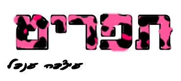 בניית אתרים בחינם