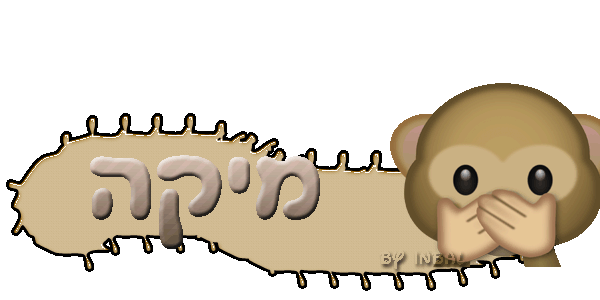 בניית אתרים בחינם