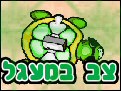צב במעגל
