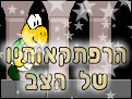 הרפתקאותיו של הצב