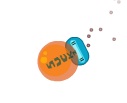 השואב