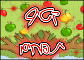 קטיף תפוחים