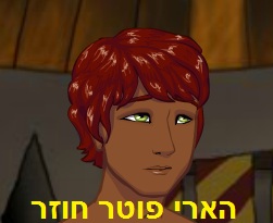 הארי פוטר: זוגות