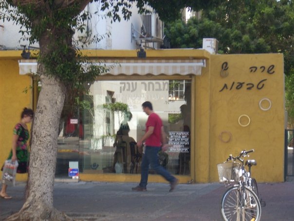 שרה טבעות