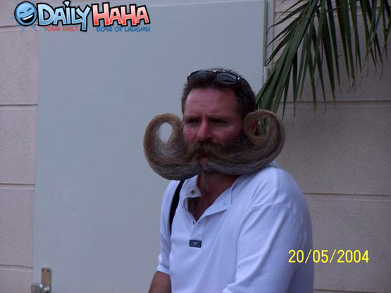 איש השפם