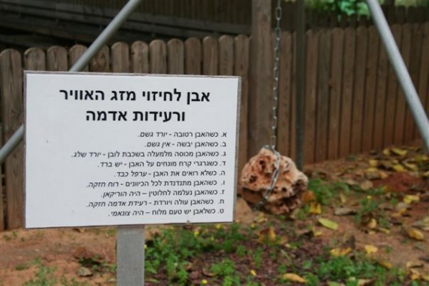 אבן לחיזוי מזג האוויר - מי צריך את דני רופ...