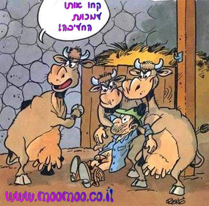 איך שגלגל מסתובב