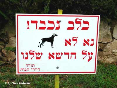 הודעה לכלב החביב