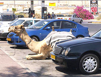 יד 2 במצב טוב