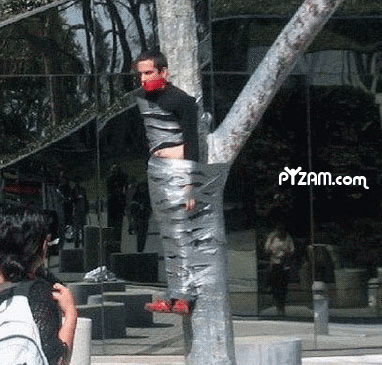 קשור לעץ
