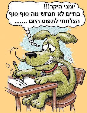 כלב תפס את הזנב שלו