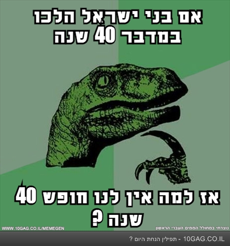 40 שנה