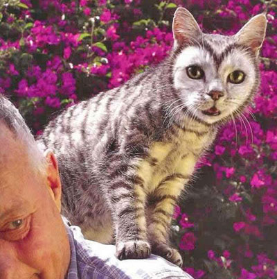 חתול מיוחד