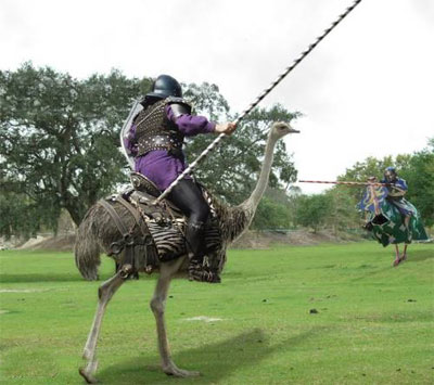 קרב טווסים